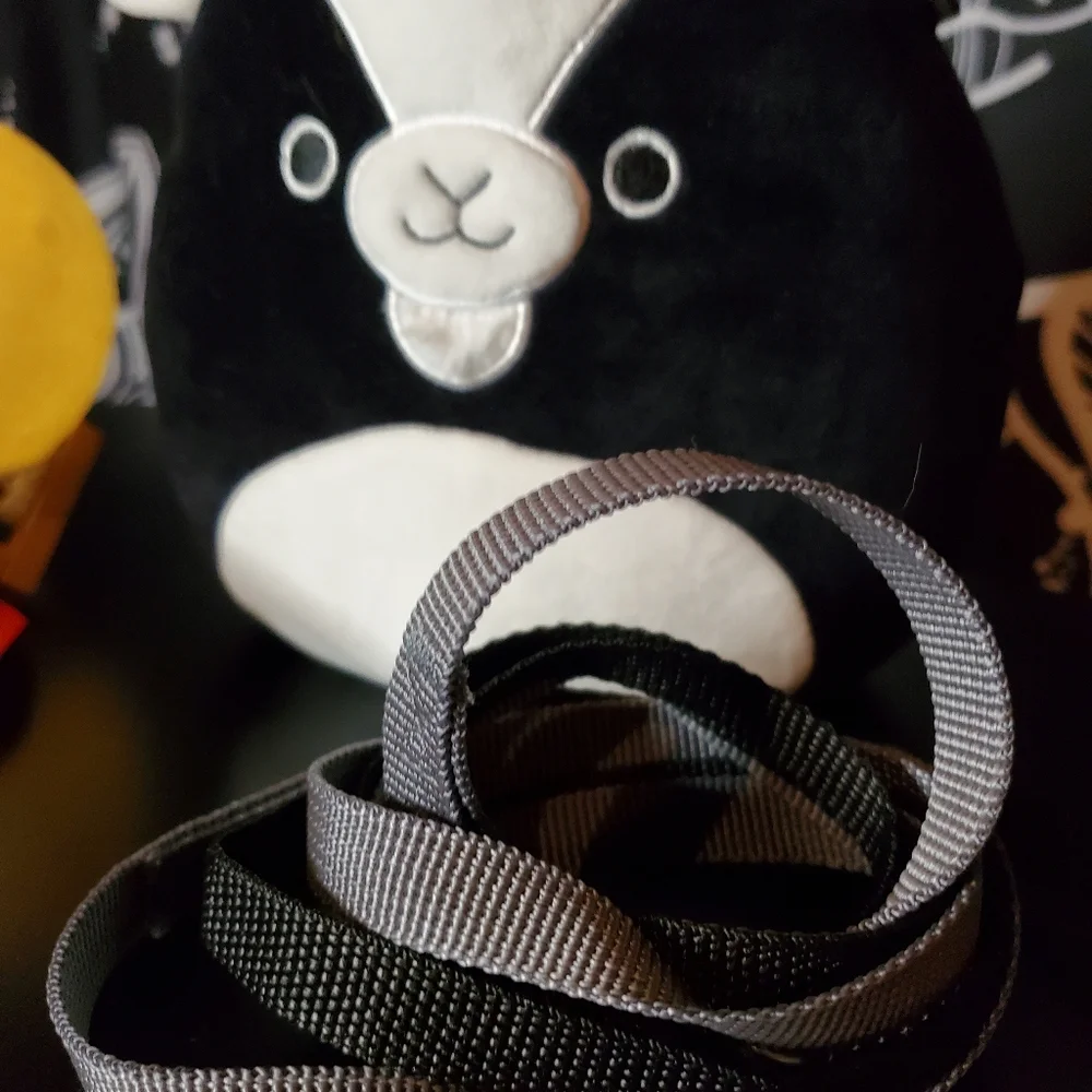 Small Pet Harness Bundle